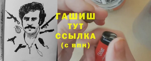 метадон Гусев