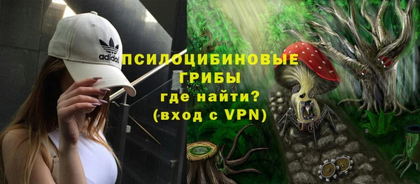 тгк Гусь-Хрустальный