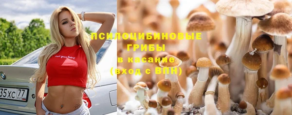 тгк Гусь-Хрустальный