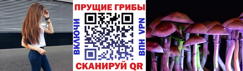 Купить закладки  Кыштым  Псилоцибиновые грибы прущие грибы 